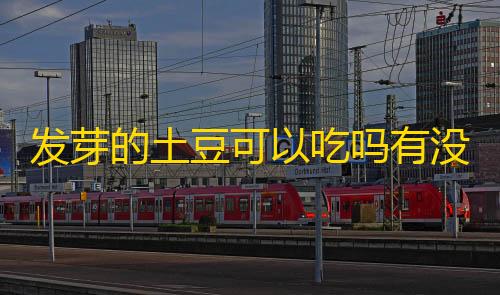 猎豹直装v9.3.9最新版本更新内容发芽的土豆可以吃吗有没有毒